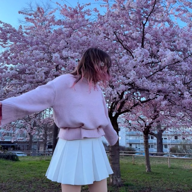 Miri unter Kirschblüten